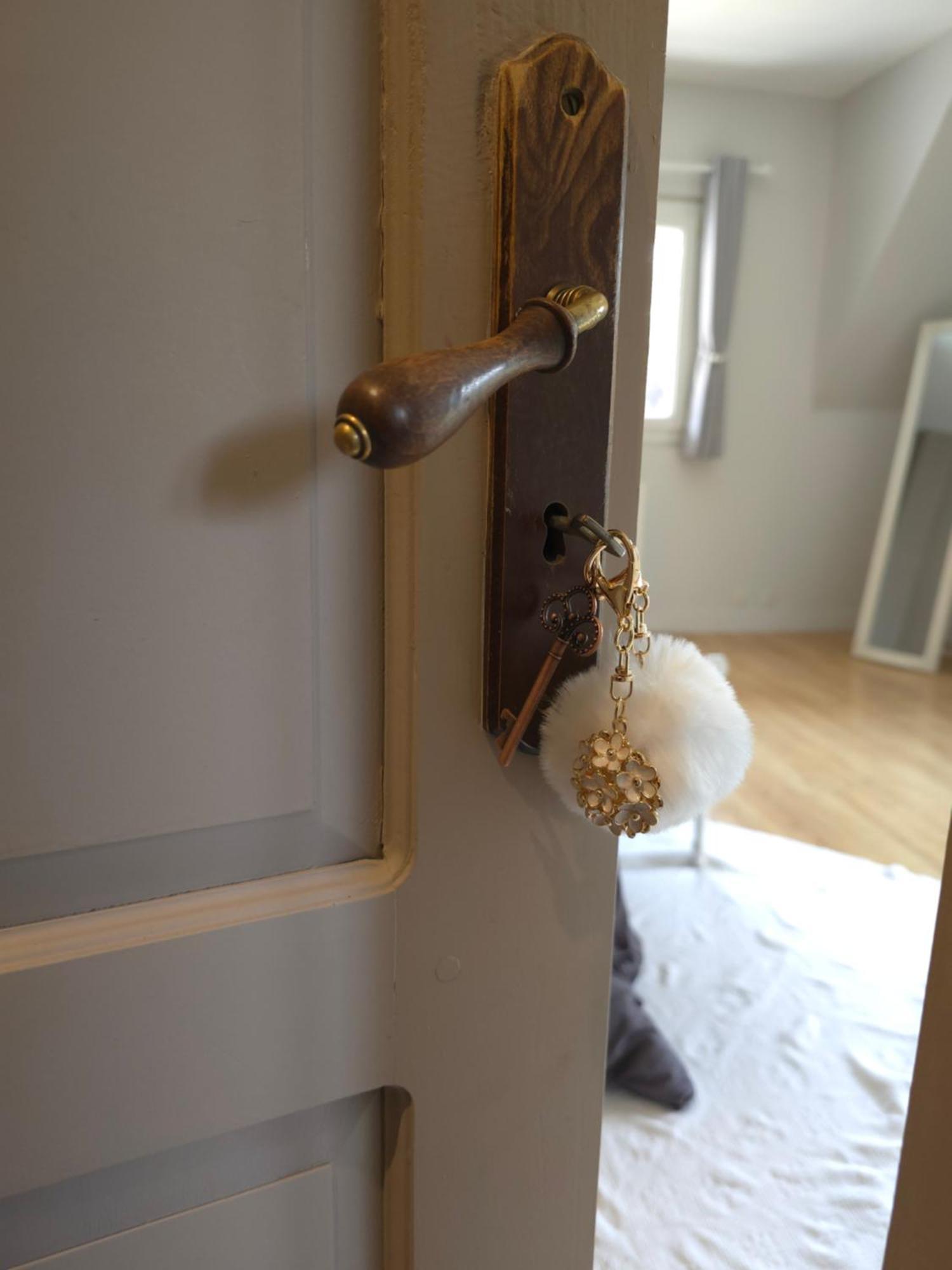 Domaine Des Bruns Bed & Breakfast Chatillon-Coligny Luaran gambar